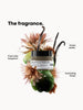 Absolut Repair Molecular Masque