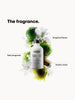 Metal Detox Shampoo